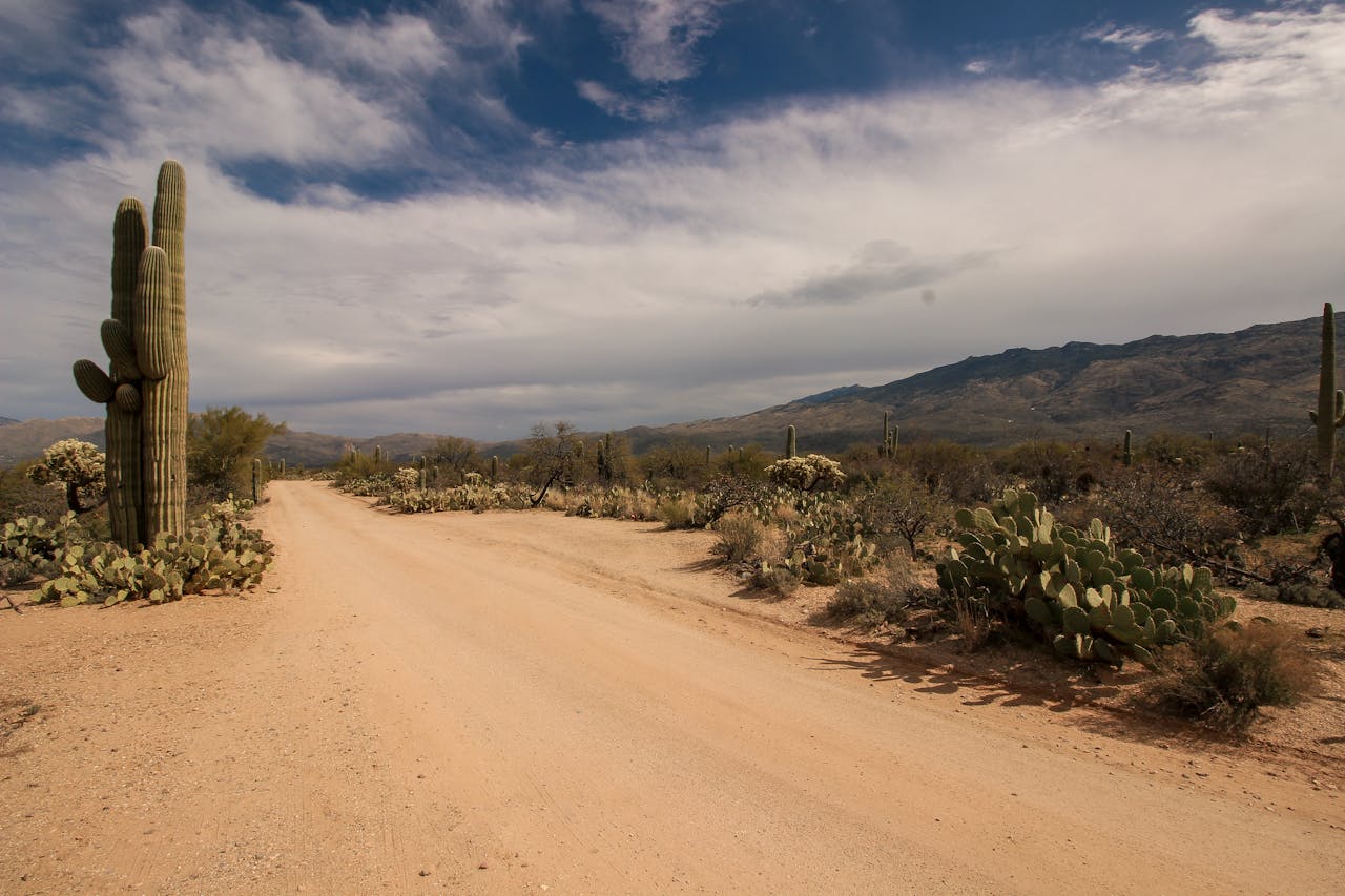 mobile-02 A scenic dirt road winds through the cacti-filled landscape of the Sonoran Desert in Arizona's summer.